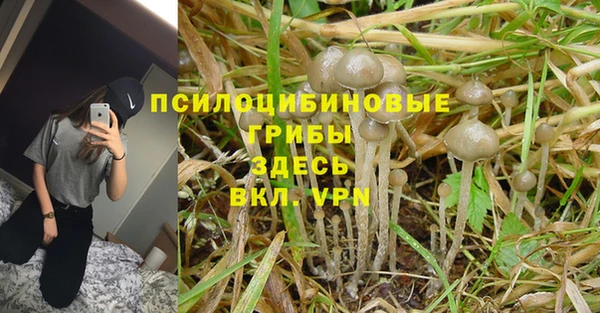 гашиш Пестово