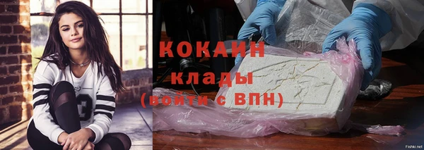 ПСИЛОЦИБИНОВЫЕ ГРИБЫ Осинники